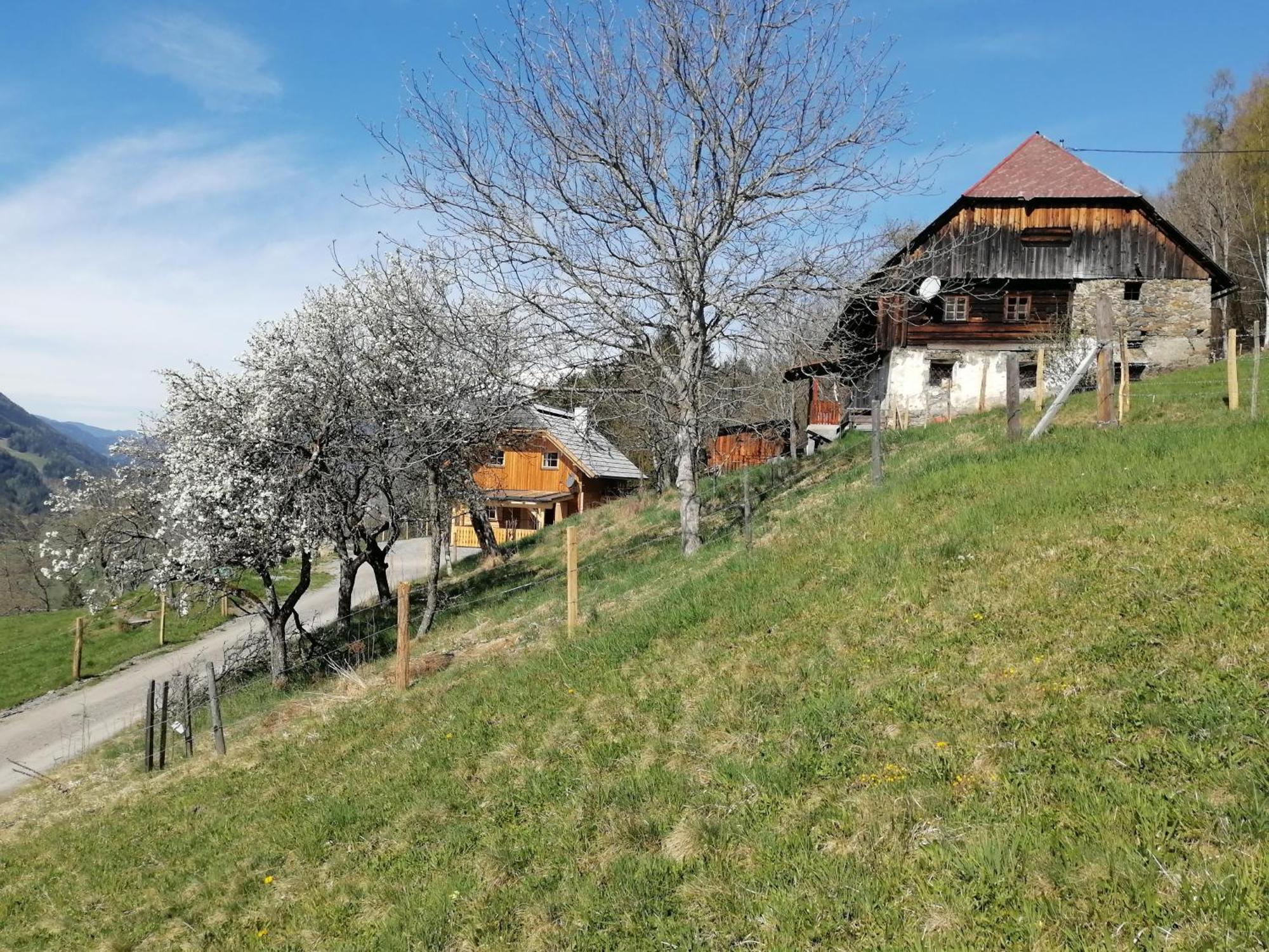 Laerchenhaus ,,Unterer Brodl" Villa Sankt Peter am Kammersberg Exterior foto