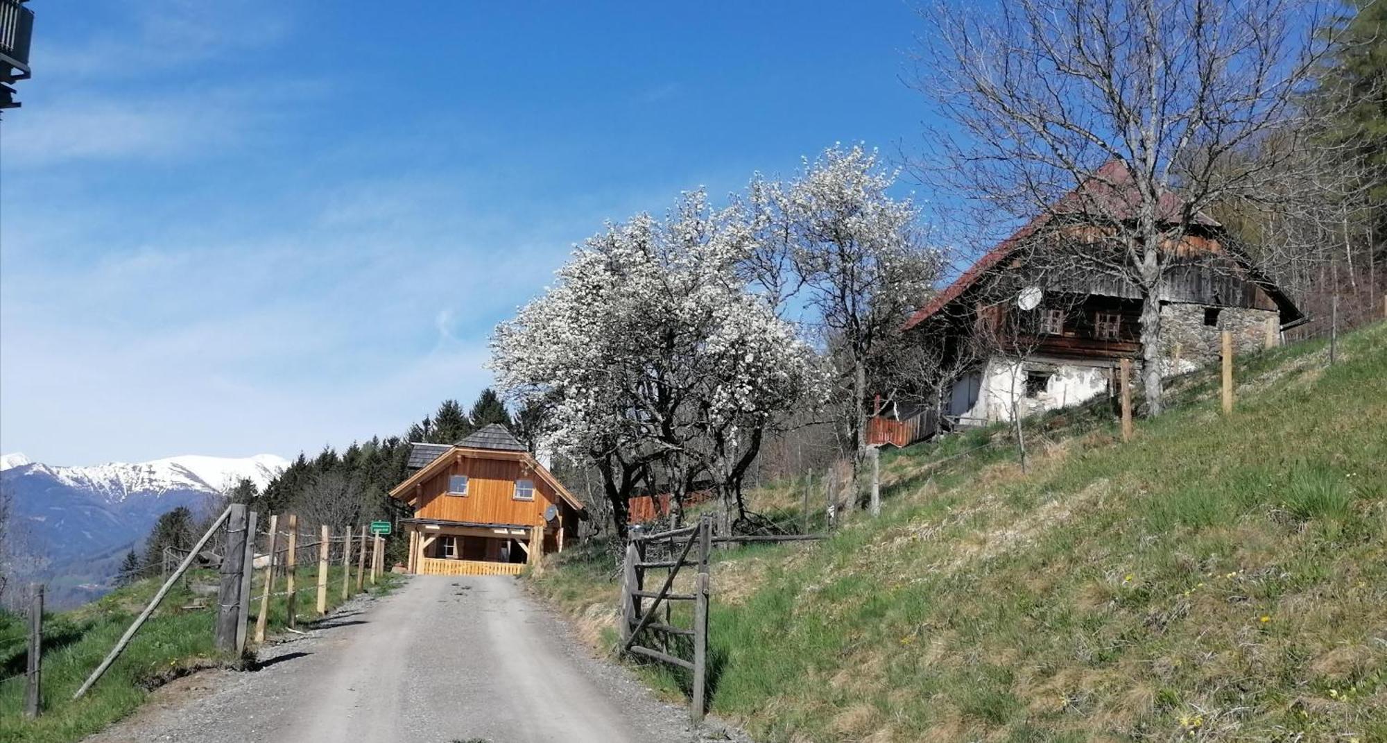 Laerchenhaus ,,Unterer Brodl" Villa Sankt Peter am Kammersberg Exterior foto